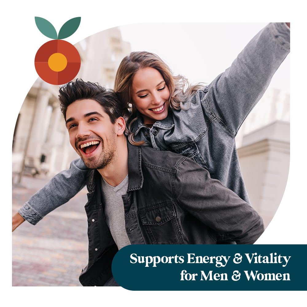 Pattern Wellness Maca Root Extract 20:1-500mg Per Serving Vegan, Non-GMO Capsules 60 Capsules