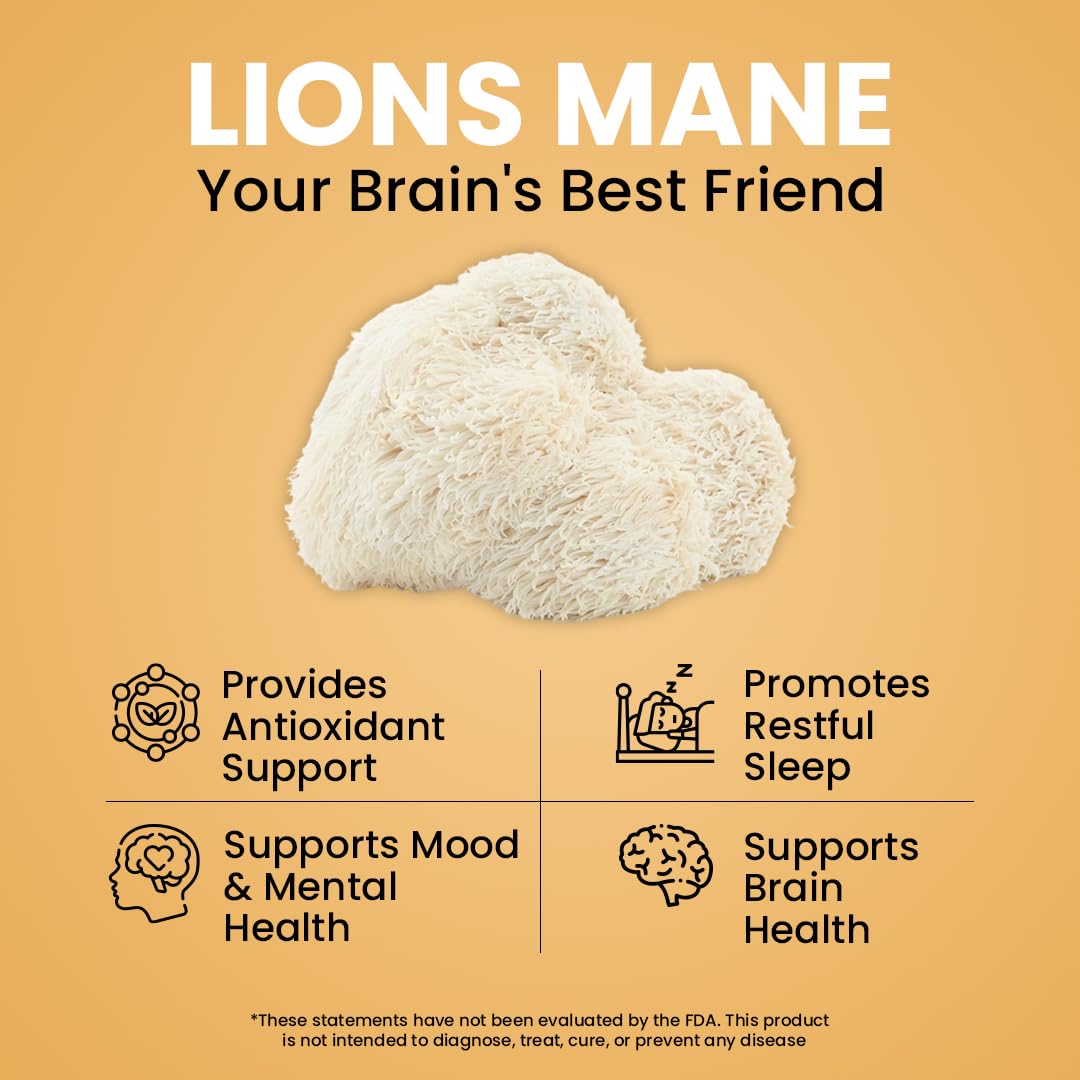 NooMost Lions Mane Mushroom Supplement Capsules 1080mg with Ginkgo Biloba - Energy, Focus, Clarity & Memory Support - 60 Veg Caps