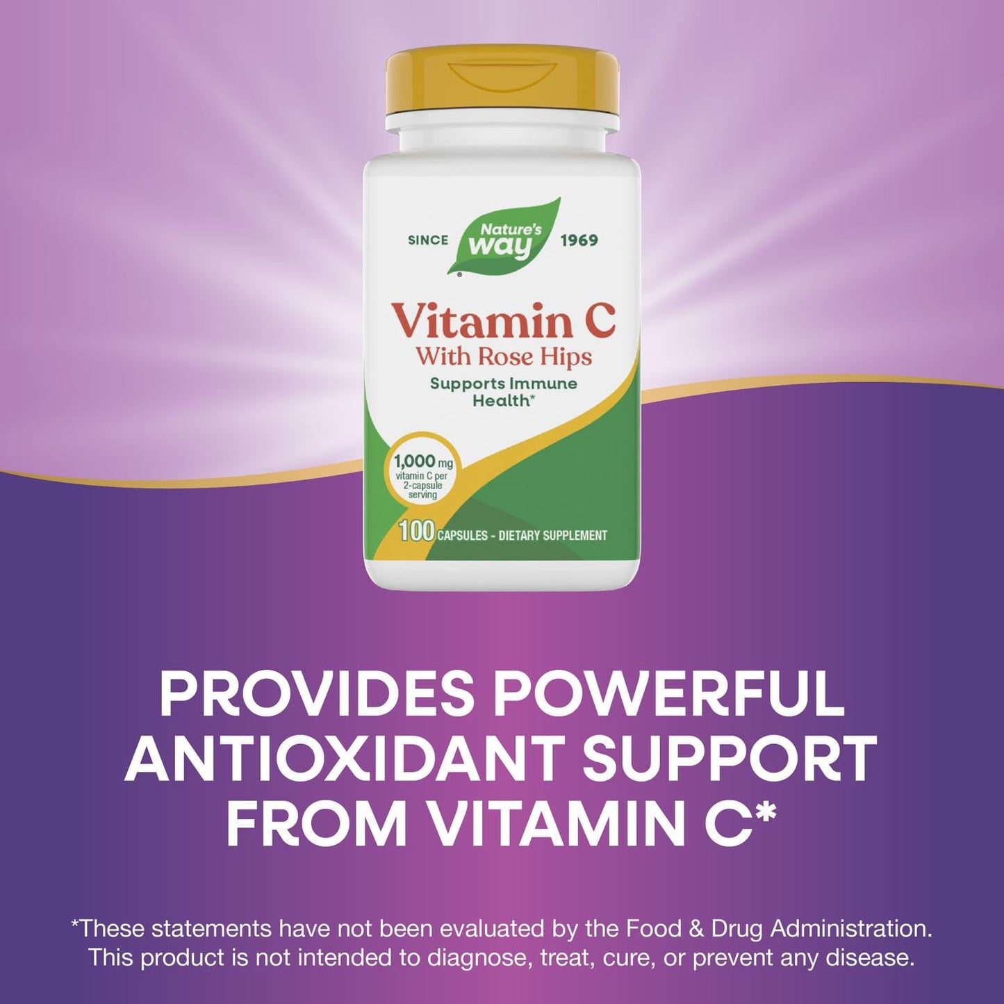 Nature's Way Vitamin C-500 with Rose Hips Capsule, 100 Capsules