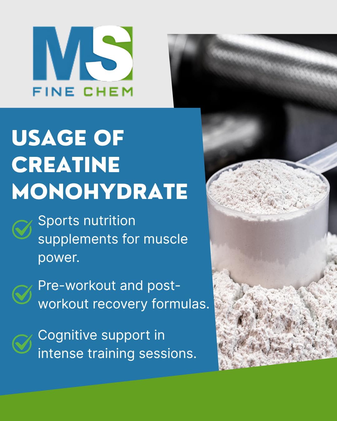 MS Finechem Creatine Monohydrate Micronized Powder, 17.6 oz