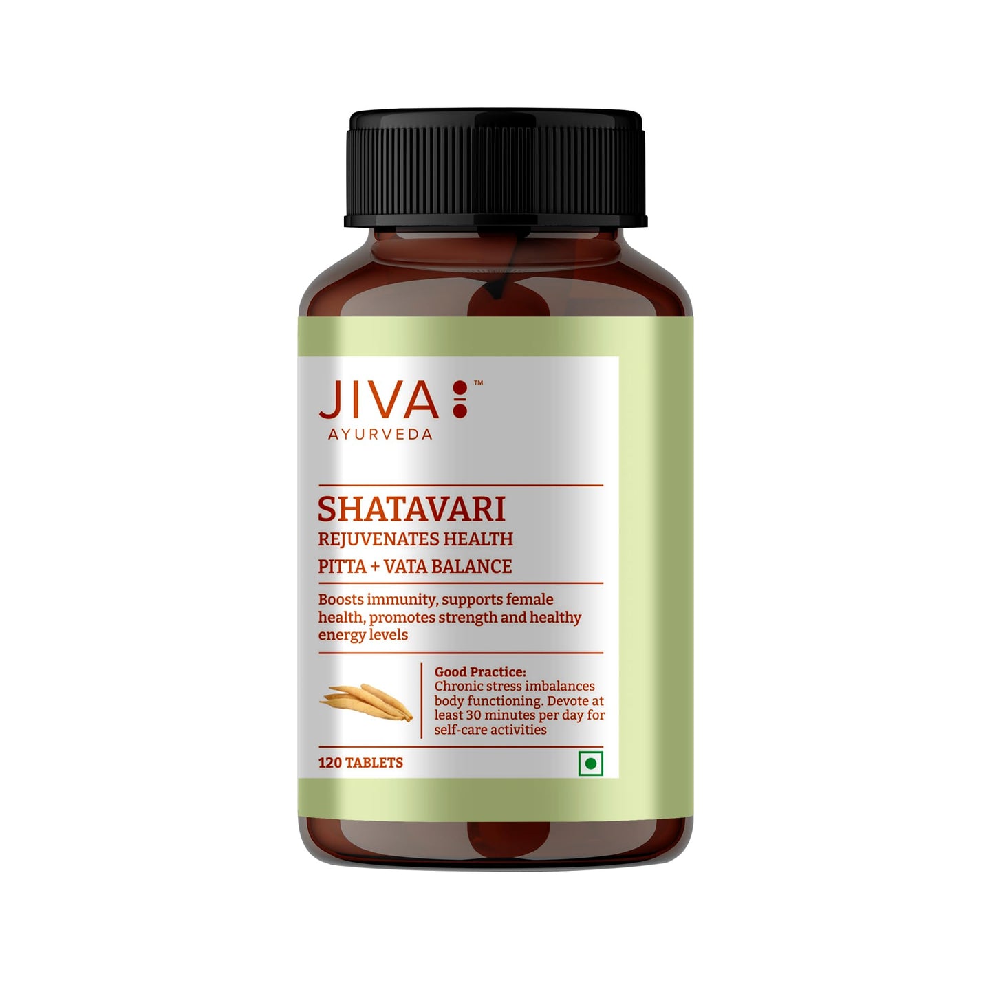 Jiva Ayurveda Shatavari Tablets 120 Tablets