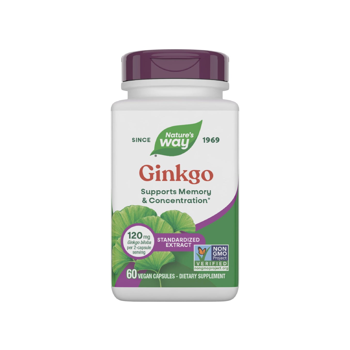 Nature's Way Ginkgo Premium Extract Capsules, 60 Capsules