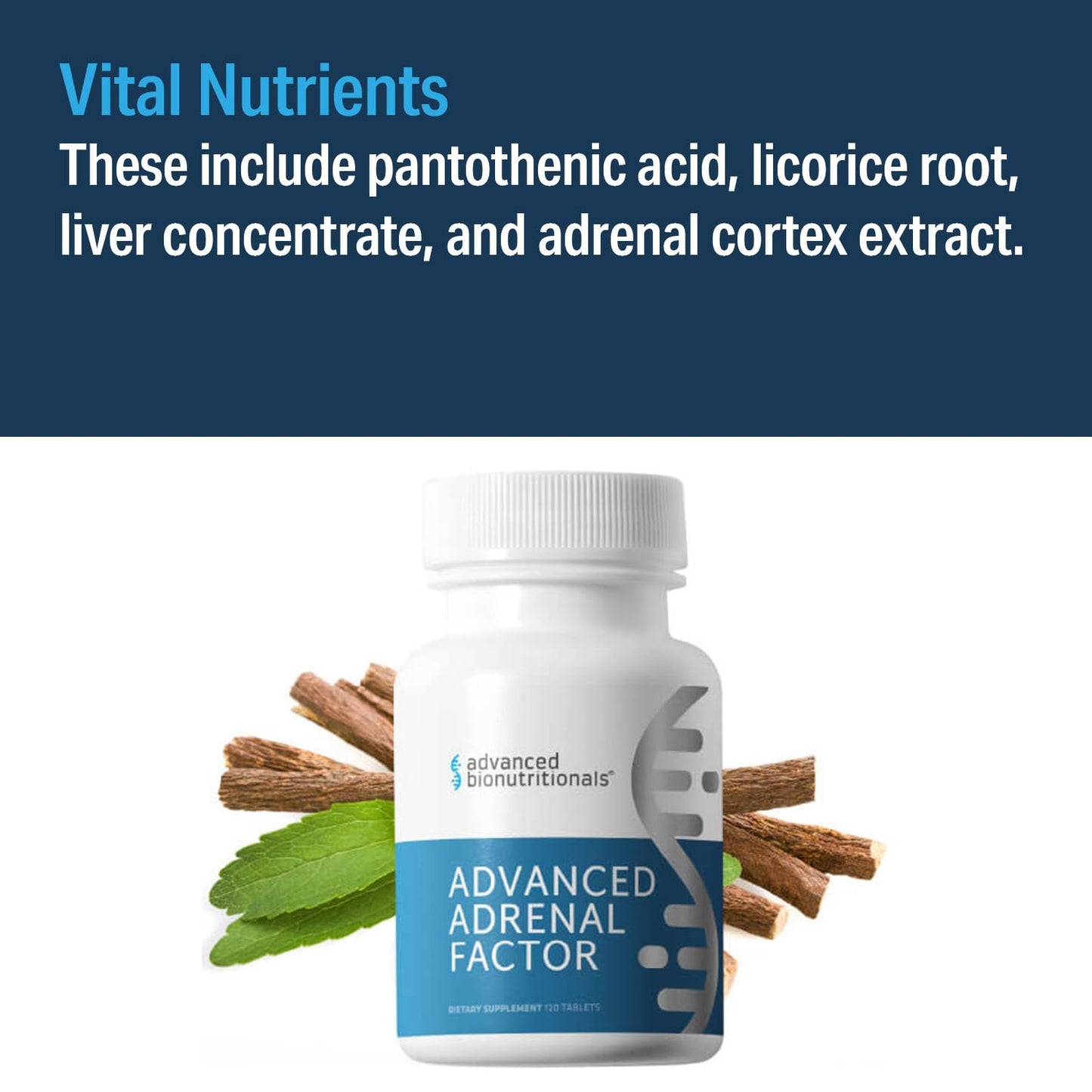 Advanced Bionutritionals Advanced Adrenal Factor 120 Tablets