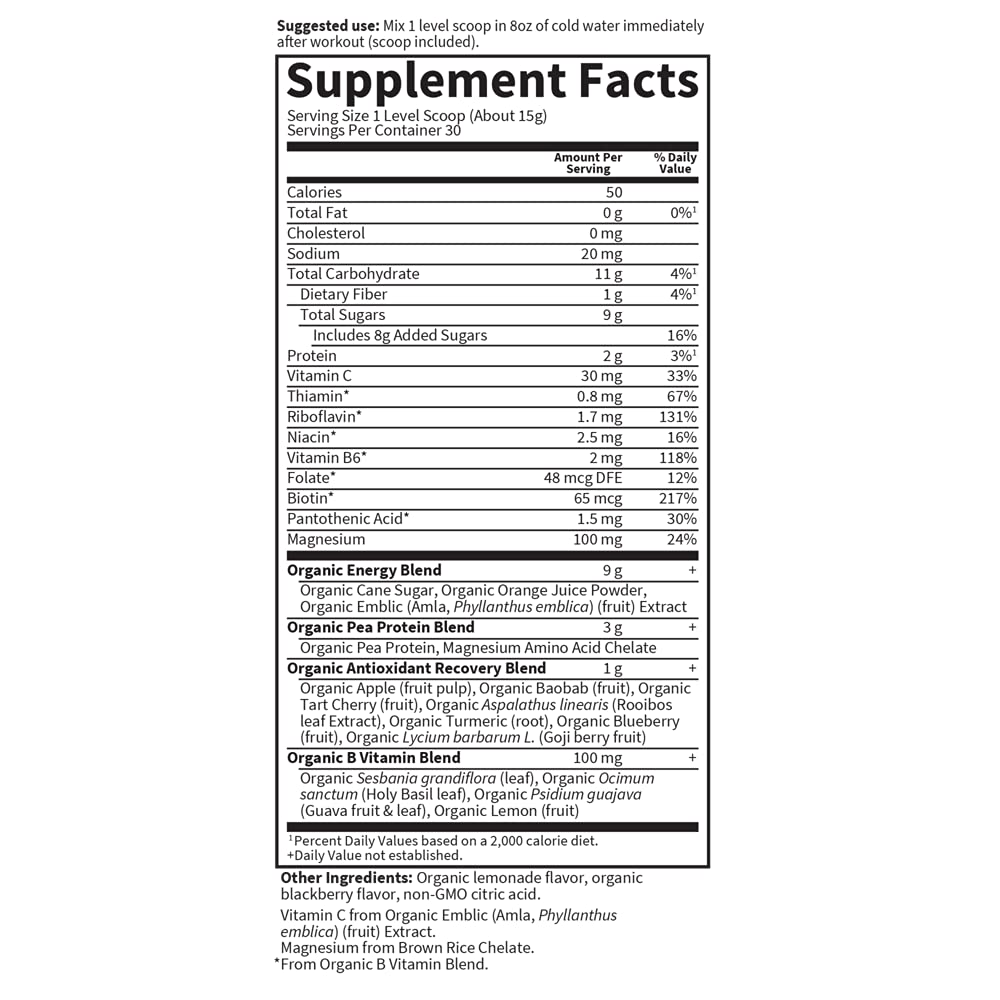 Garden of Life Sport Organic Plant-Based Recovery Powder 15.7 Ounce – Muscle Recovery Supplement for Women & Men with Vitamins and Magnesium, Non-GMO, Gluten-Free, BlackBerry Lemonade Flavor, 30 Servings
