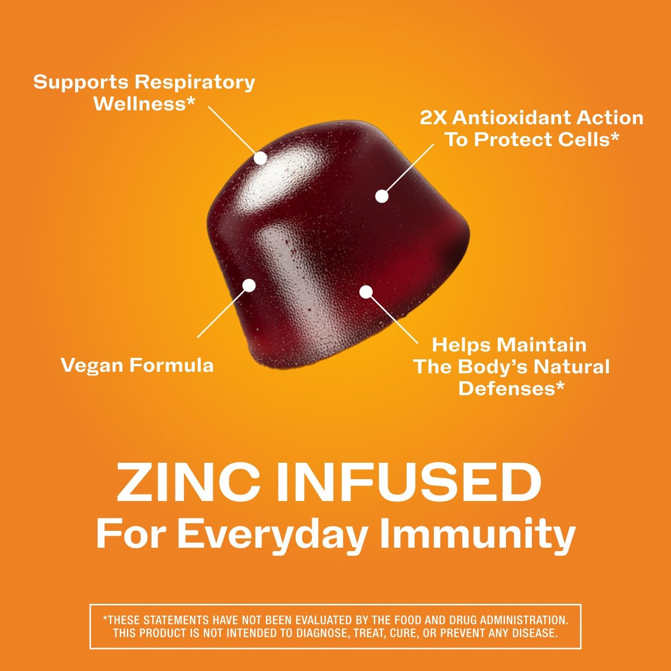 Vimergy NutriDense Immunity Elderberry & Zinc Gummy 60 Count