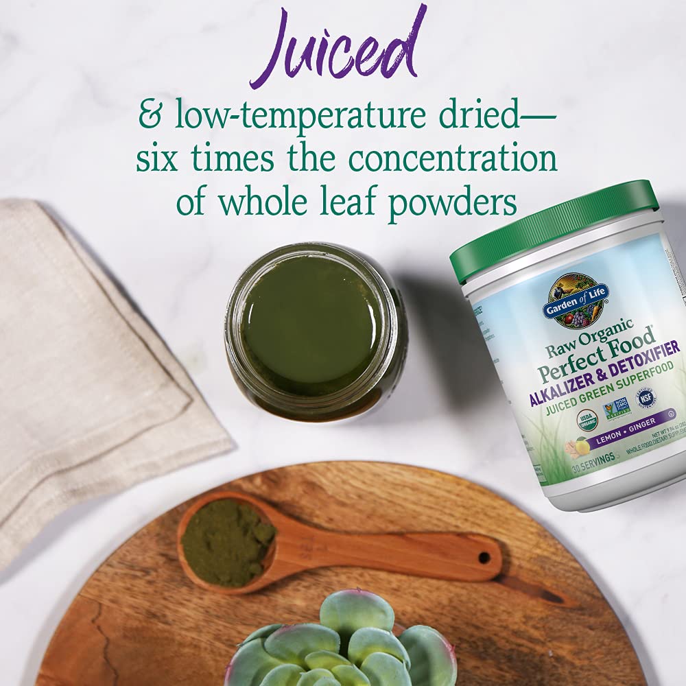 Garden of Life Raw Organic Perfect Food Alkalizer & Detoxifier Juiced Greens Superfood Powder & Vegan Protein Powder Vanilla - Powder 2-Pack