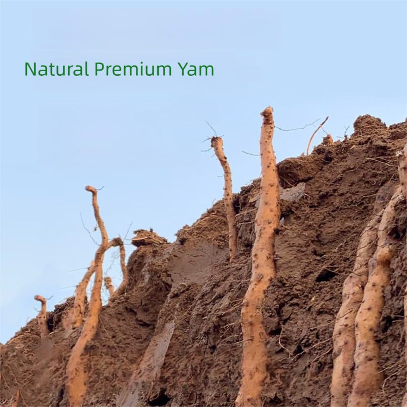 MOORCHOCO Chinese Yam Powder, 10.58 oz