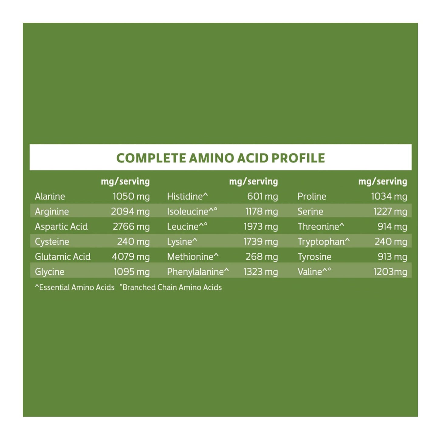 Biochem Vegan Protein Powder Vanilla 24 Servings