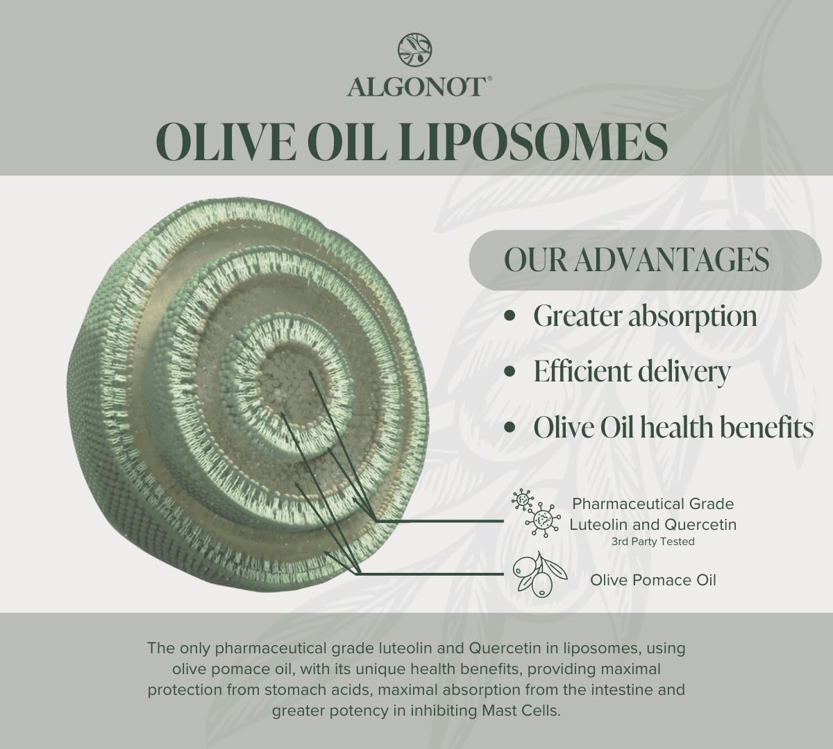 Algonot NeuroProtek Liposomal Luteolin Softgel, 60 Softgels