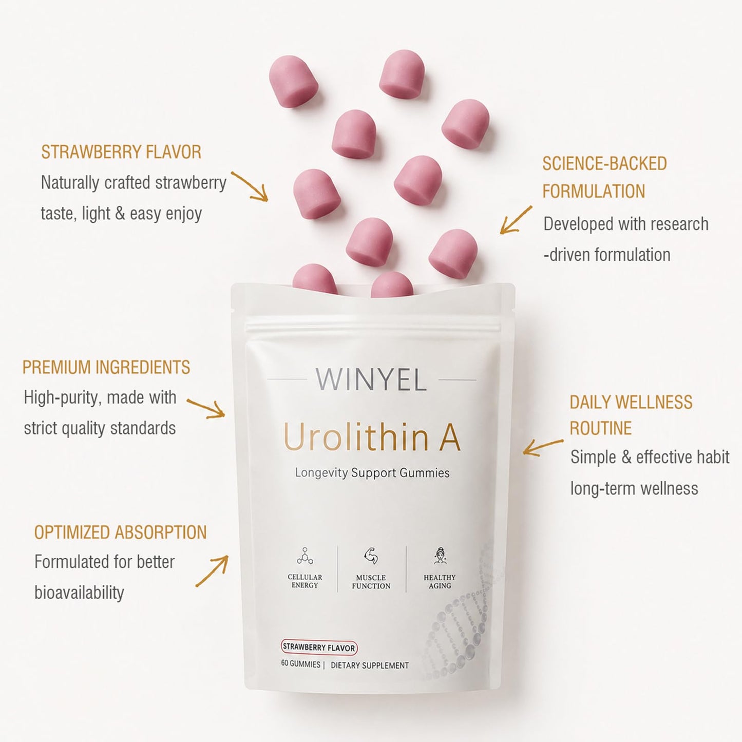 WINYEL Urolithin A Supplement Longevity Gummy 60 Count