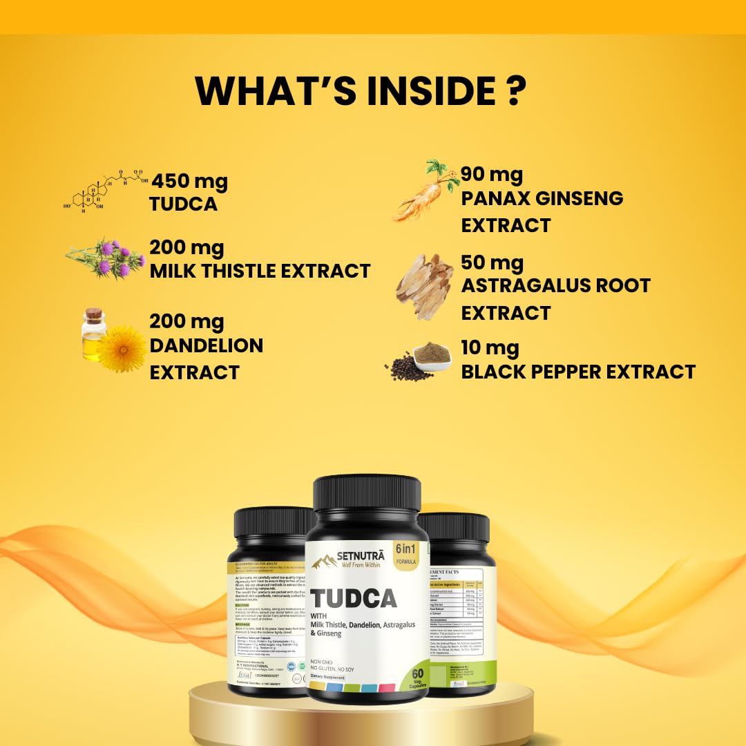 SETNUTRA Well From Within TUDCA 6 in 1 with Milk Thistle Dandelion Astragalus & Ginseng Advanced Liver & Detox Support Supplement Capsules, 60 Count