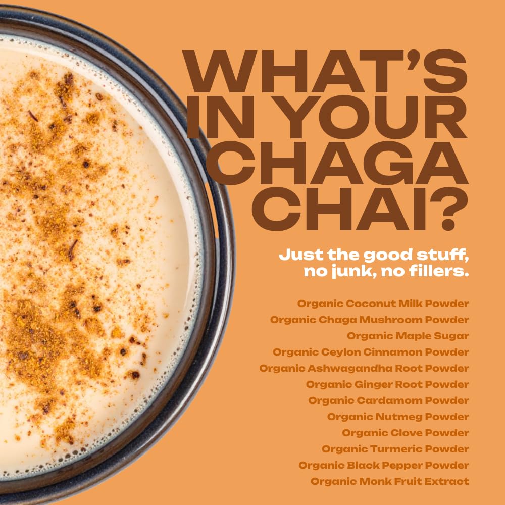 OMG! Organic Meets Good Superfoods Certified Organic Chaga Chai Instant Mix Powder, 8