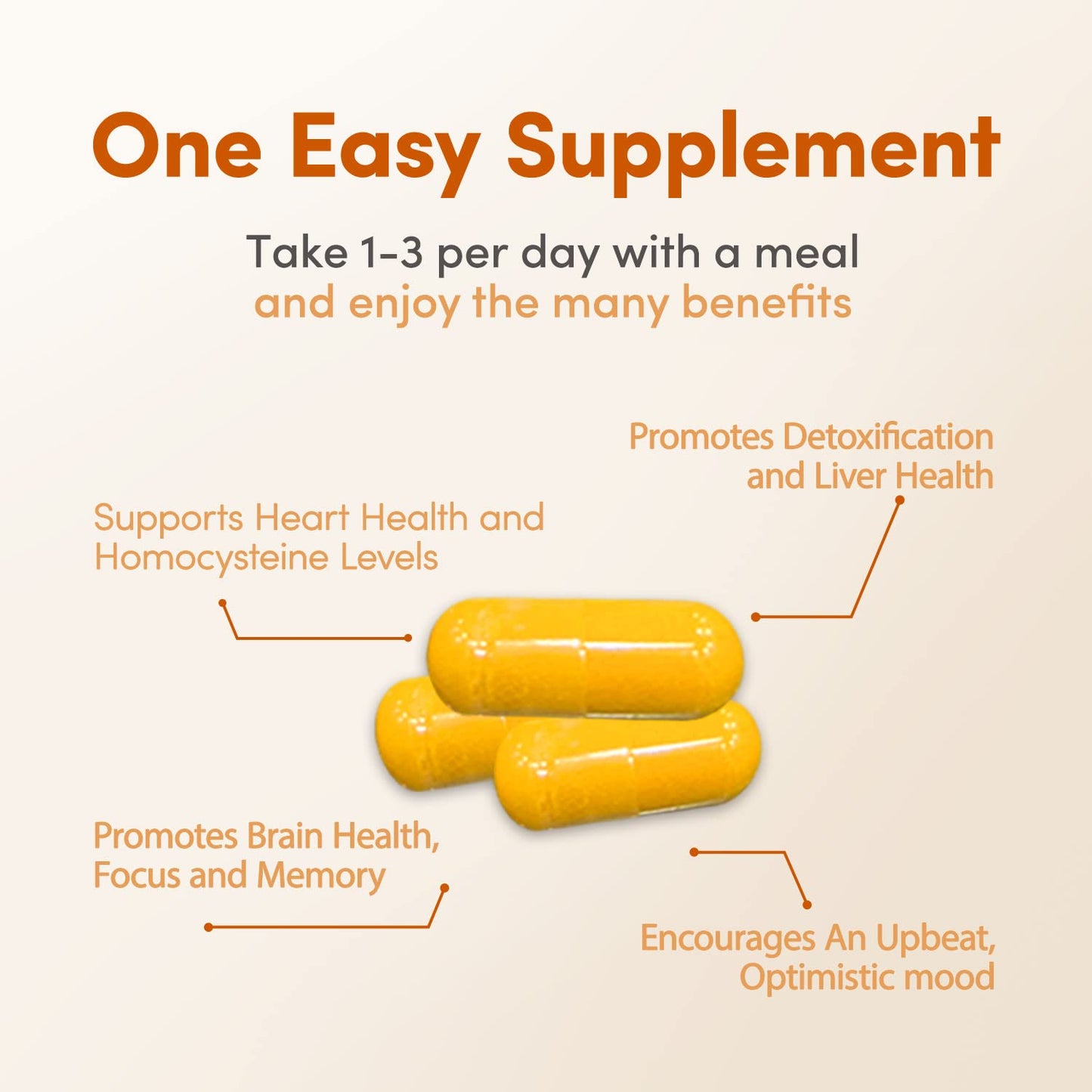 LowTE Florida Methyl Factors+ with B Vitamins, Folate & Riboflavin, 60 Capsules