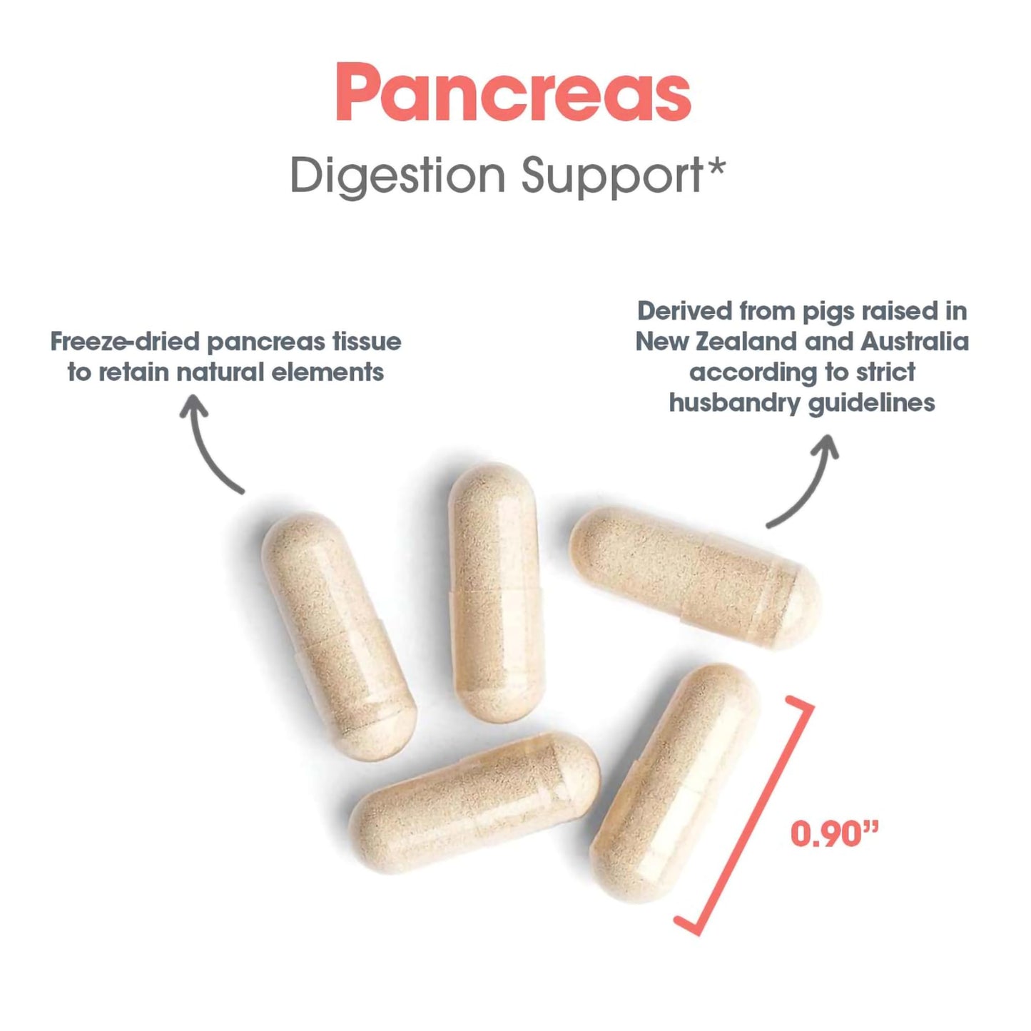 Allergy Research Group ARG Pancreas Natural Glandular Capsules 720