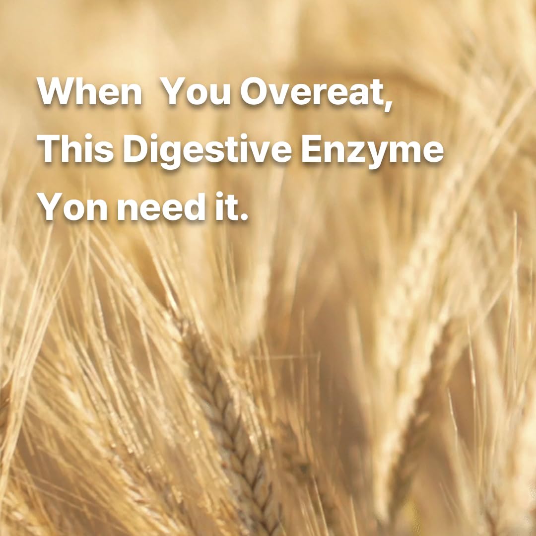 SOHWI Digestive Enzyme Sticks, 30 Sticks