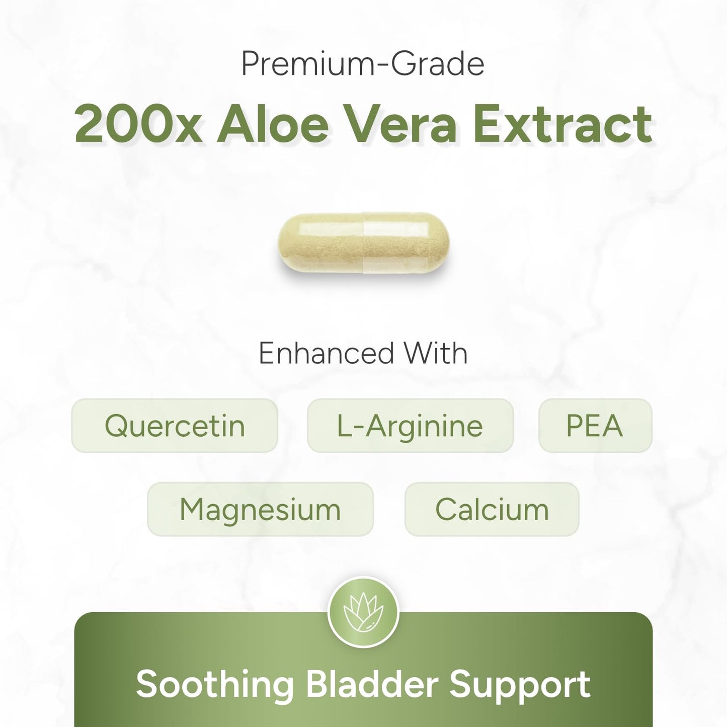 ALOEPATH Bladder Support & Pelvic Wellness Supplement with Organic Aloe Vera – Maximum Strength Formula with Quercetin, Pea & L-Arginine for Urinary Comfort, 90 Capsules