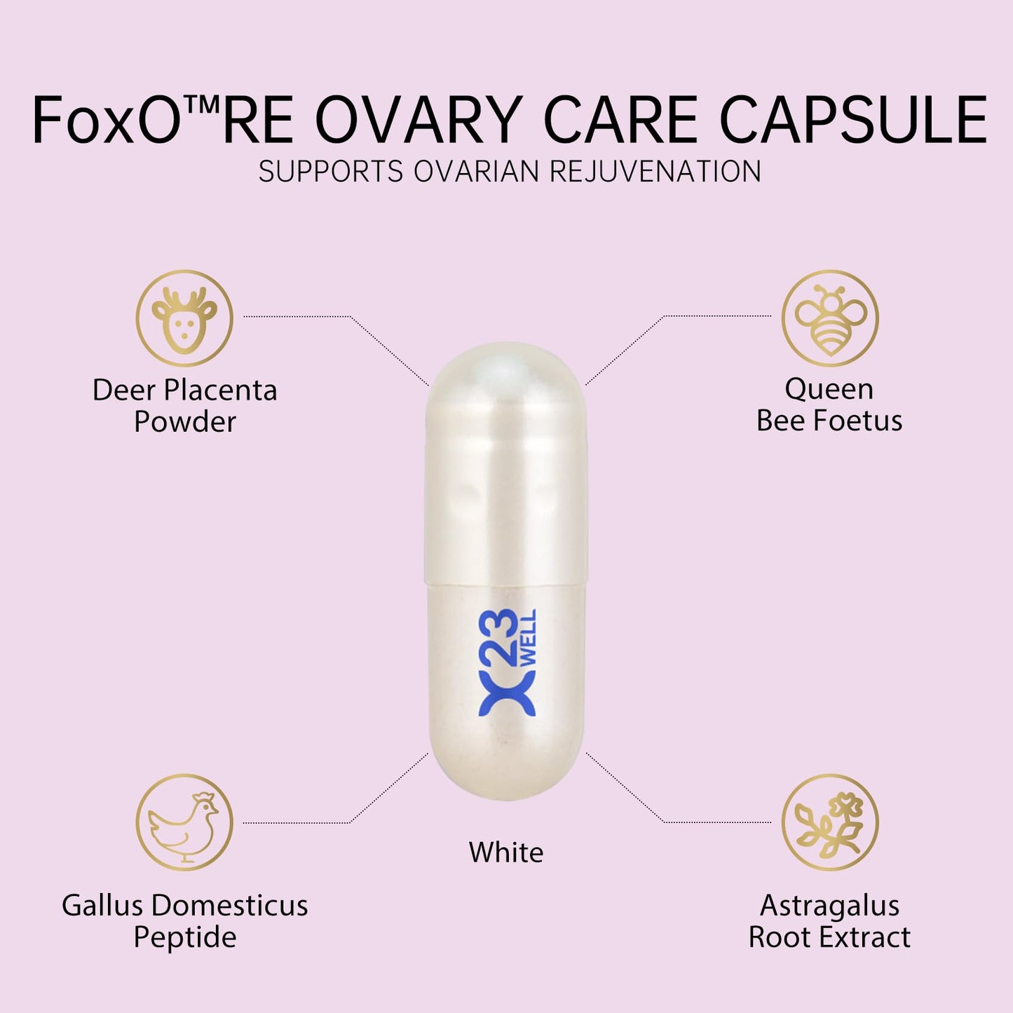 Generic 23Well Women's Ovarian Support 60 Capsules