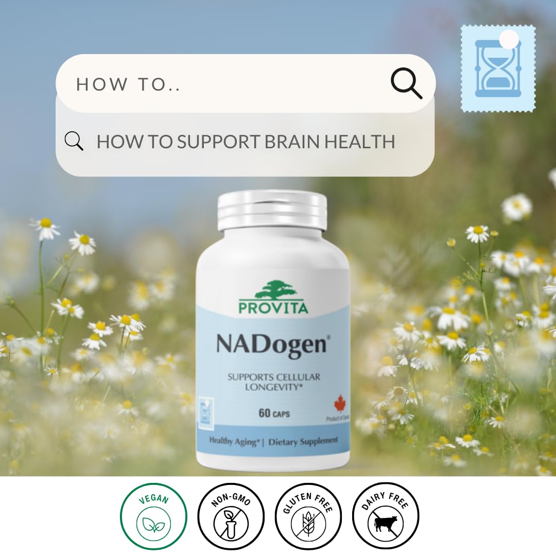 PROVITA Nadogen NAD+ Supplement Capsule 60 Count