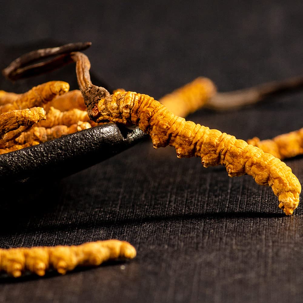 Generic Cordyceps Sinensis Powder 800
