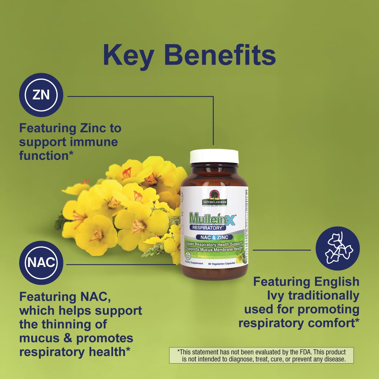 Nature's Answer MulleinX Respiratory, NAC & Zinc 90 Capsules