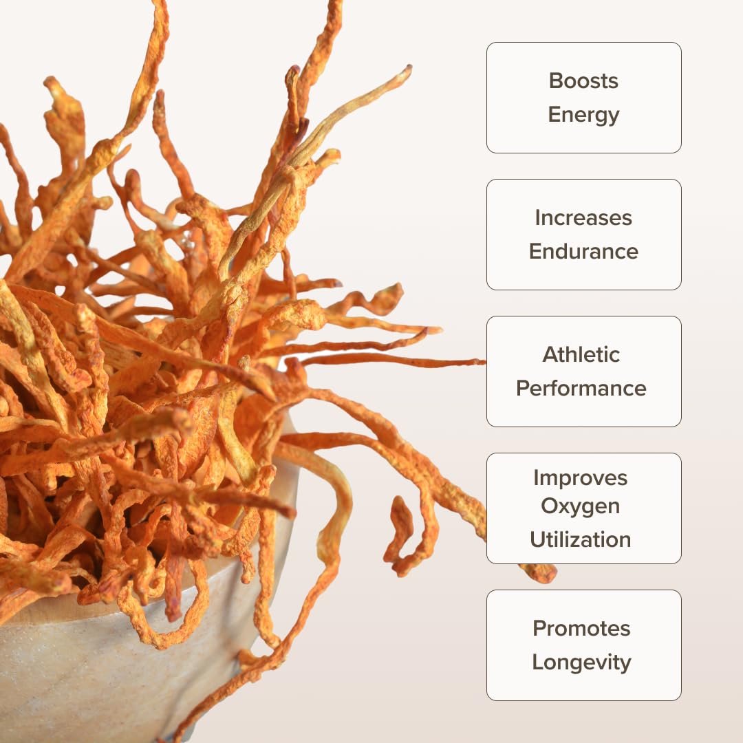 Bloomable Cordyceps Mushroom Capsules, 120 Capsules