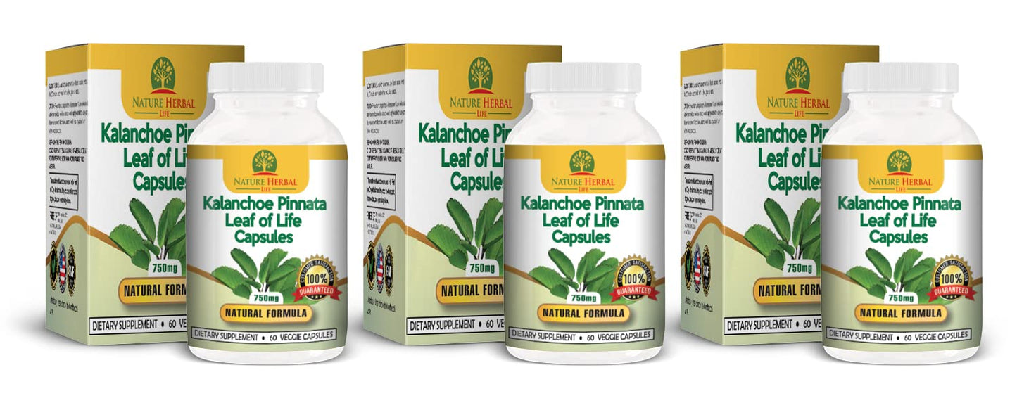 Nature Herbal Life Kalanchoe pinnata Leaf of Life Cathedral Bells 750 mg Vegetarian Capsules, 180 Count