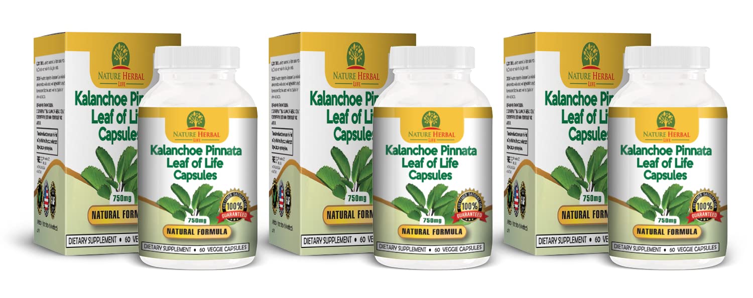 Nature Herbal Life Kalanchoe pinnata Leaf of Life Cathedral Bells 750 mg Vegetarian Capsules, 180 Count
