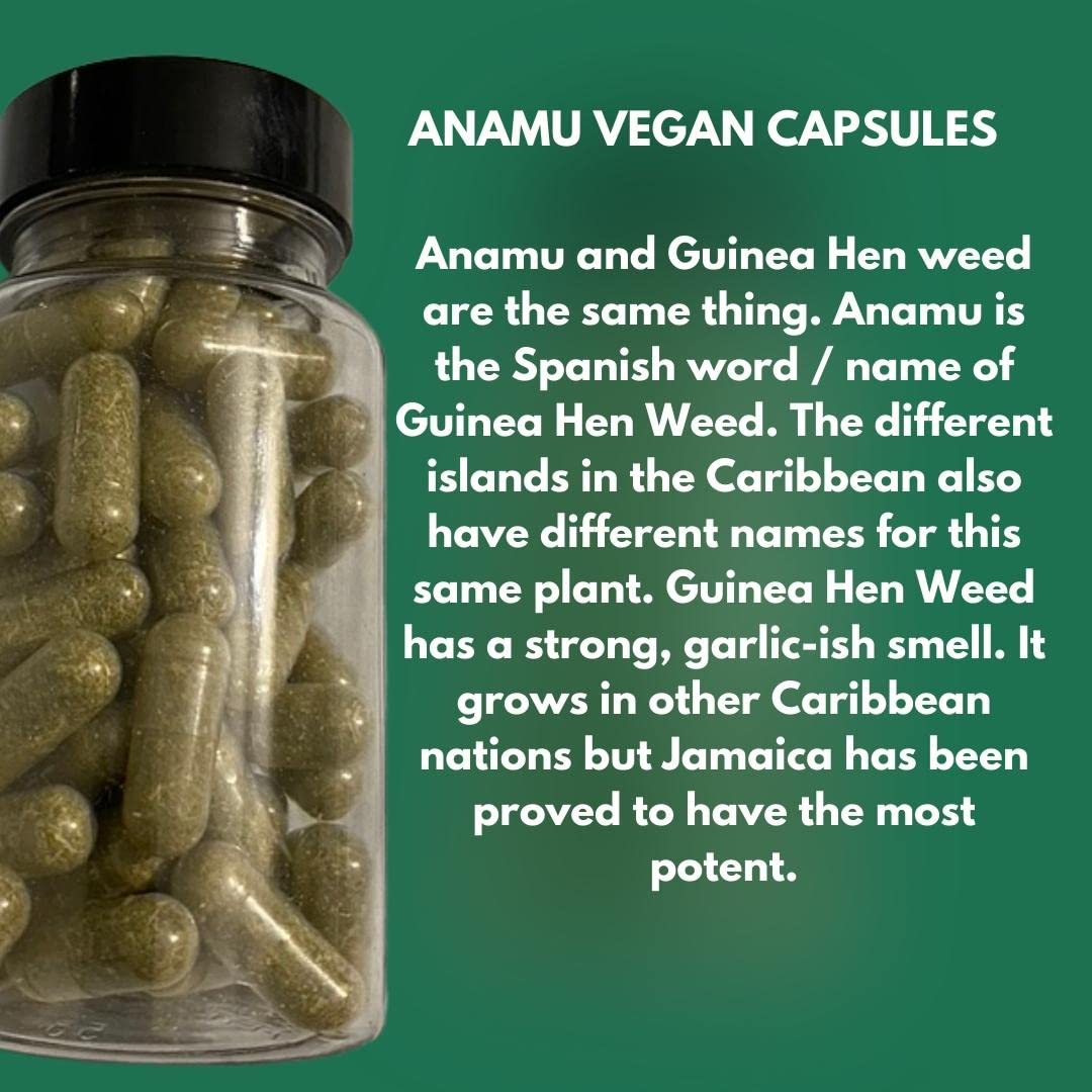 Jahno Herbs Jamaican Guinea Hen Capsule 1