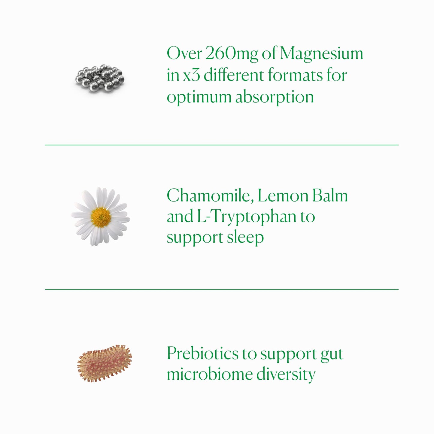 The Nue Co Magnesium Gut Barrier+ Powder 17.64 oz