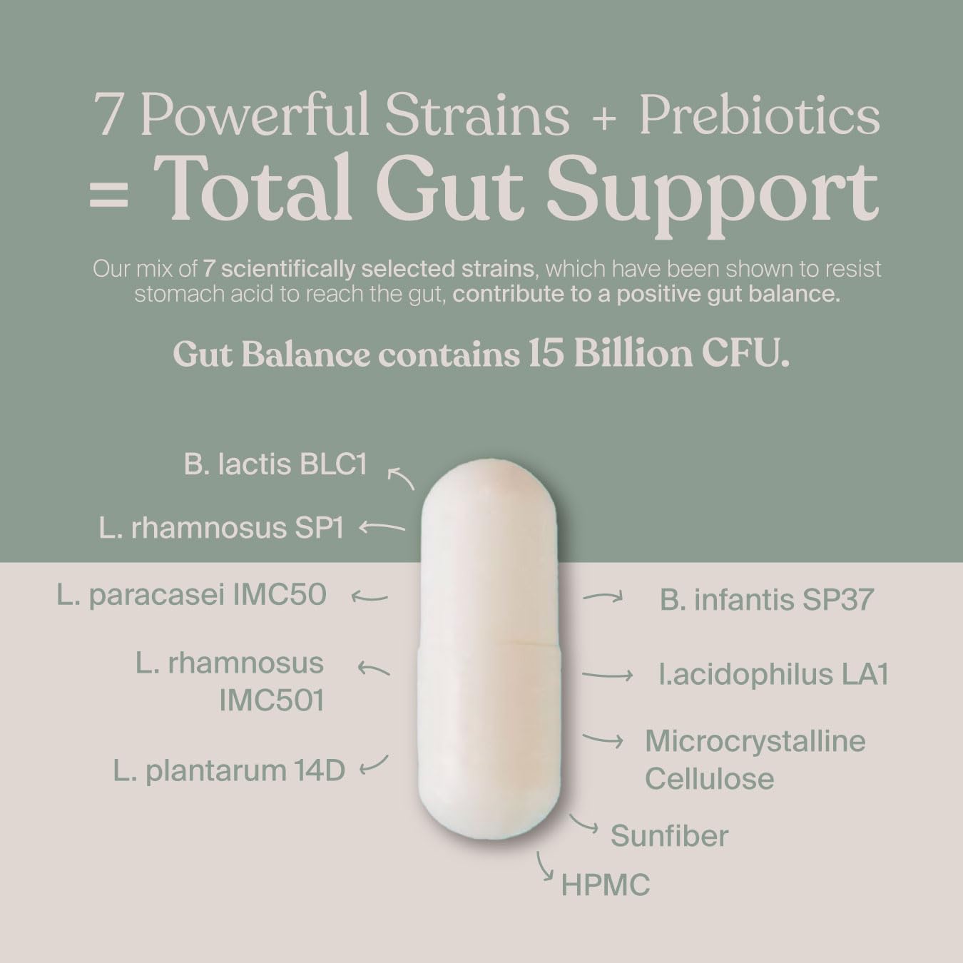 SAVVY Gut Balance Probiotics for Women & Men Capsules, 60 Capsules