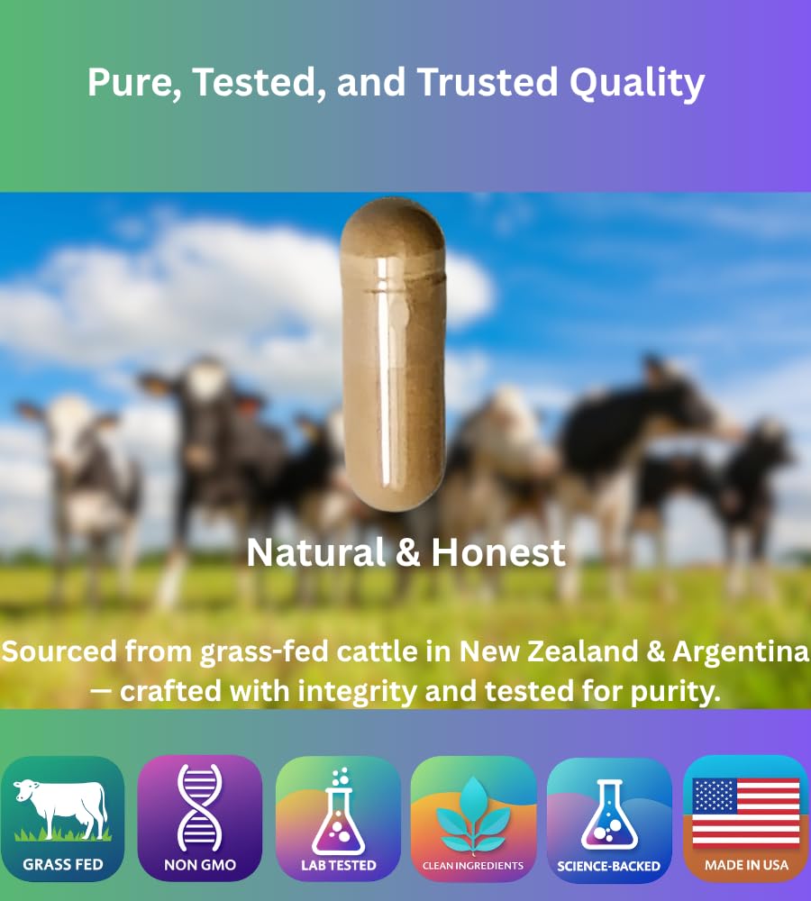 PrimoNourish Grass-Fed Beef Organ Supplement for Energy & Vitality 180 Capsules