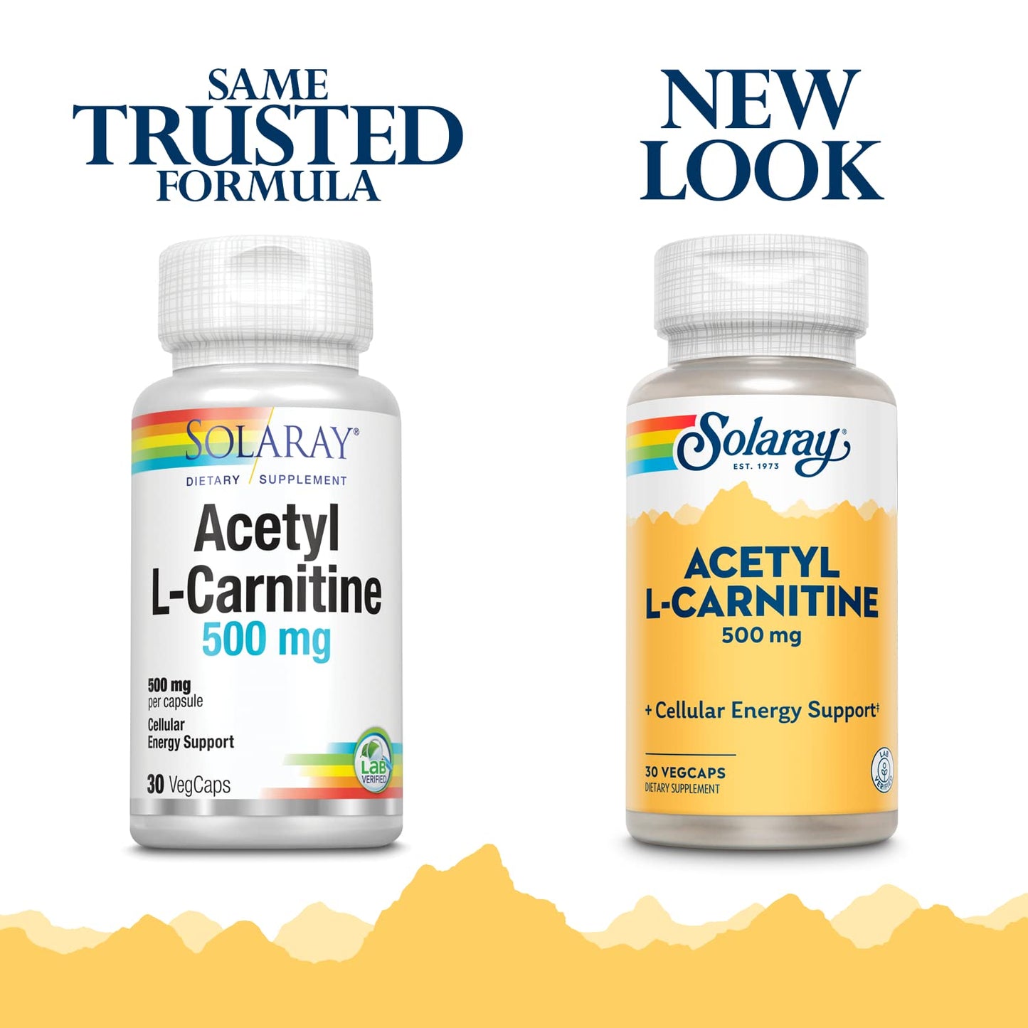 Solaray Acetyl L-Carnitine 500 mg Capsules, 30 VegCaps