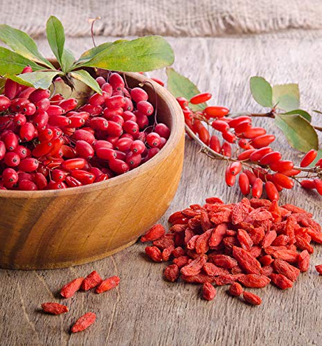 VIP VITAMINS Goji Berry Complex with Pomegranate, Resveratrol, Noni, Acai - Antioxidant Capsule, 120 Capsules