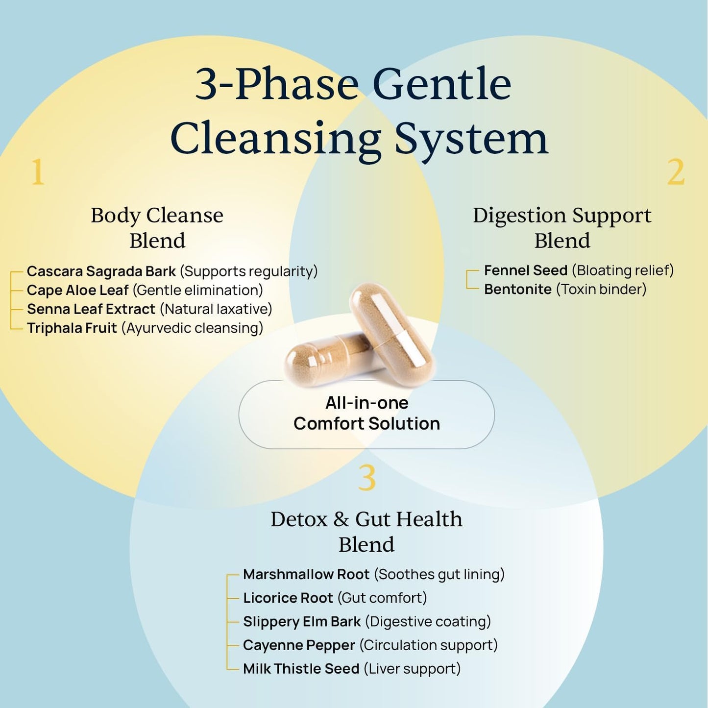 Simple Promise BellyFlush Gut & Colon Cleanse Capsules 60 Count