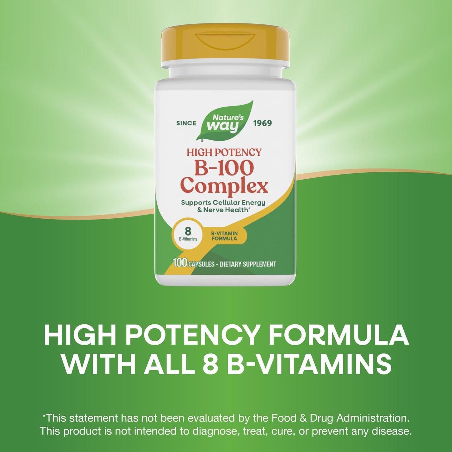 Nature's Way Vitamin B-100 Complex Capsule 100 Count