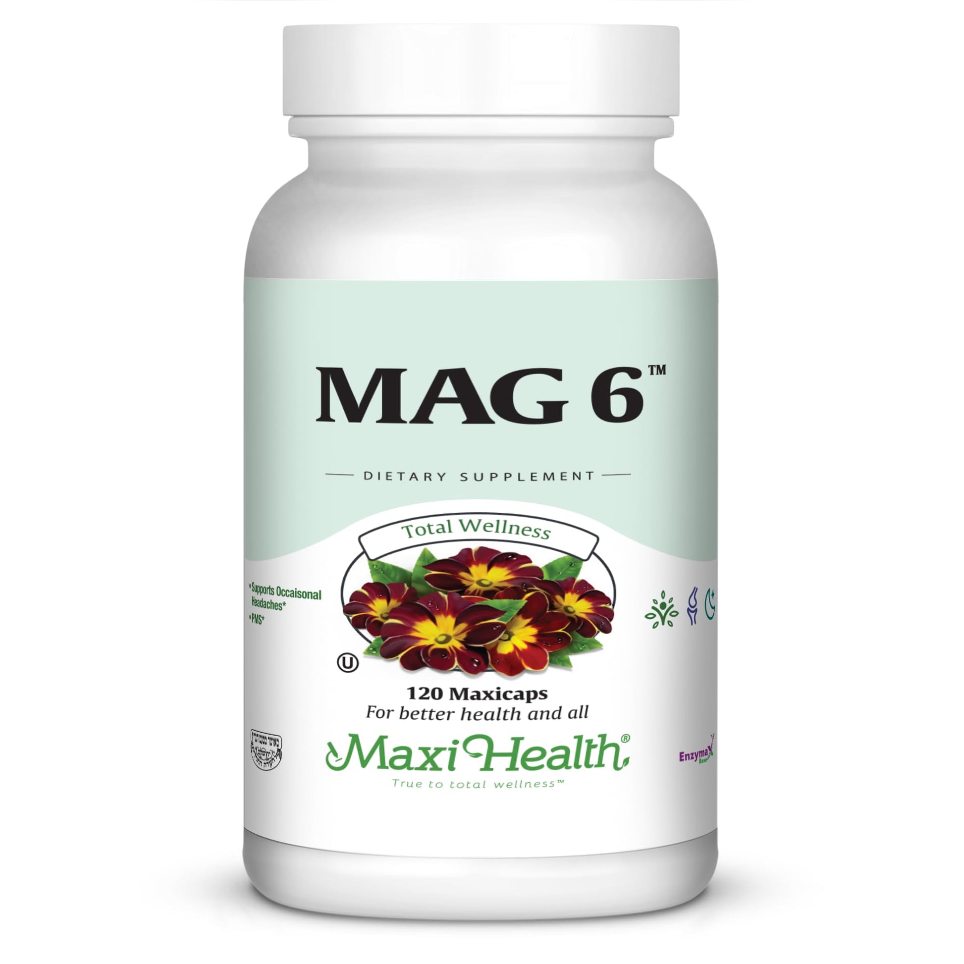 Maxi Health Magnesium with Vitamin B6 Capsule, 120 Capsules