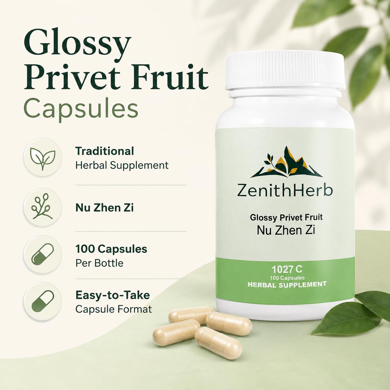 ZenithHerb Nu Zhen Zi, Glossy Privet Fruit Capsules, 100 Capsules