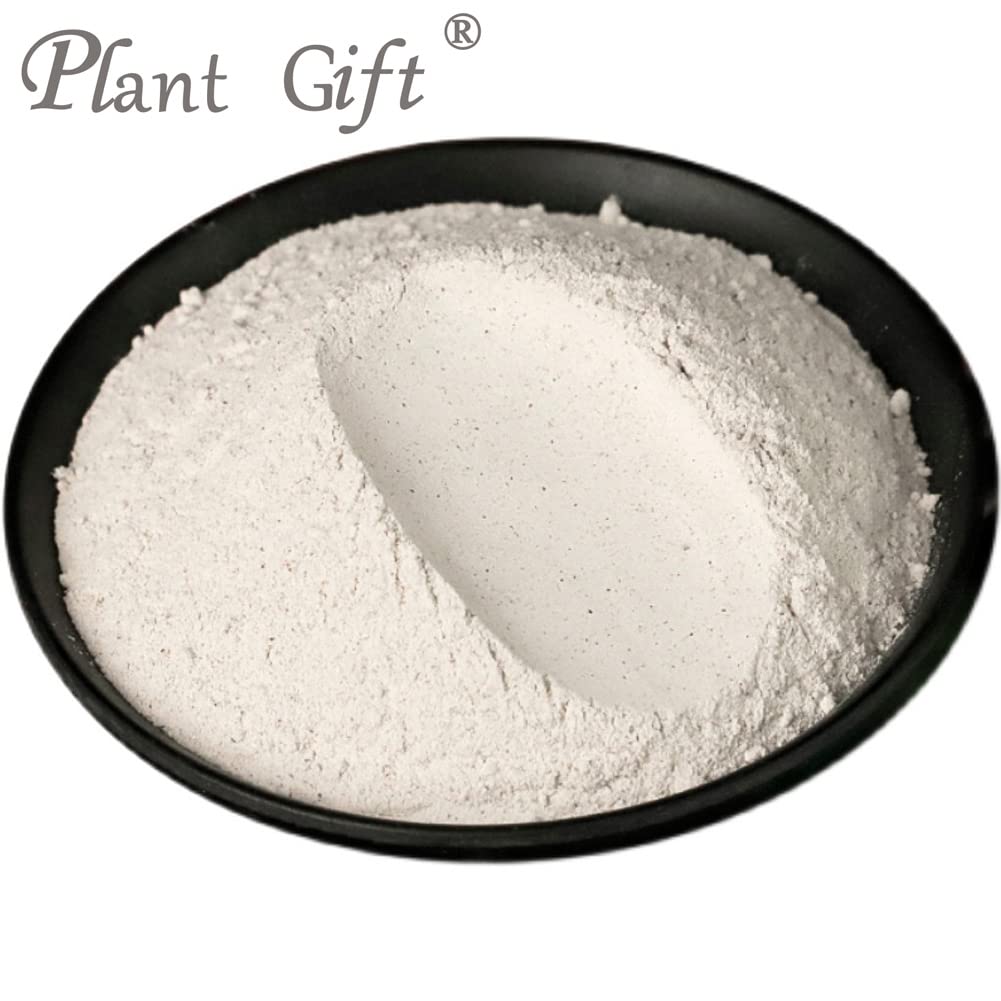 Plant Gift Euryales Semen Powder 3.53 oz