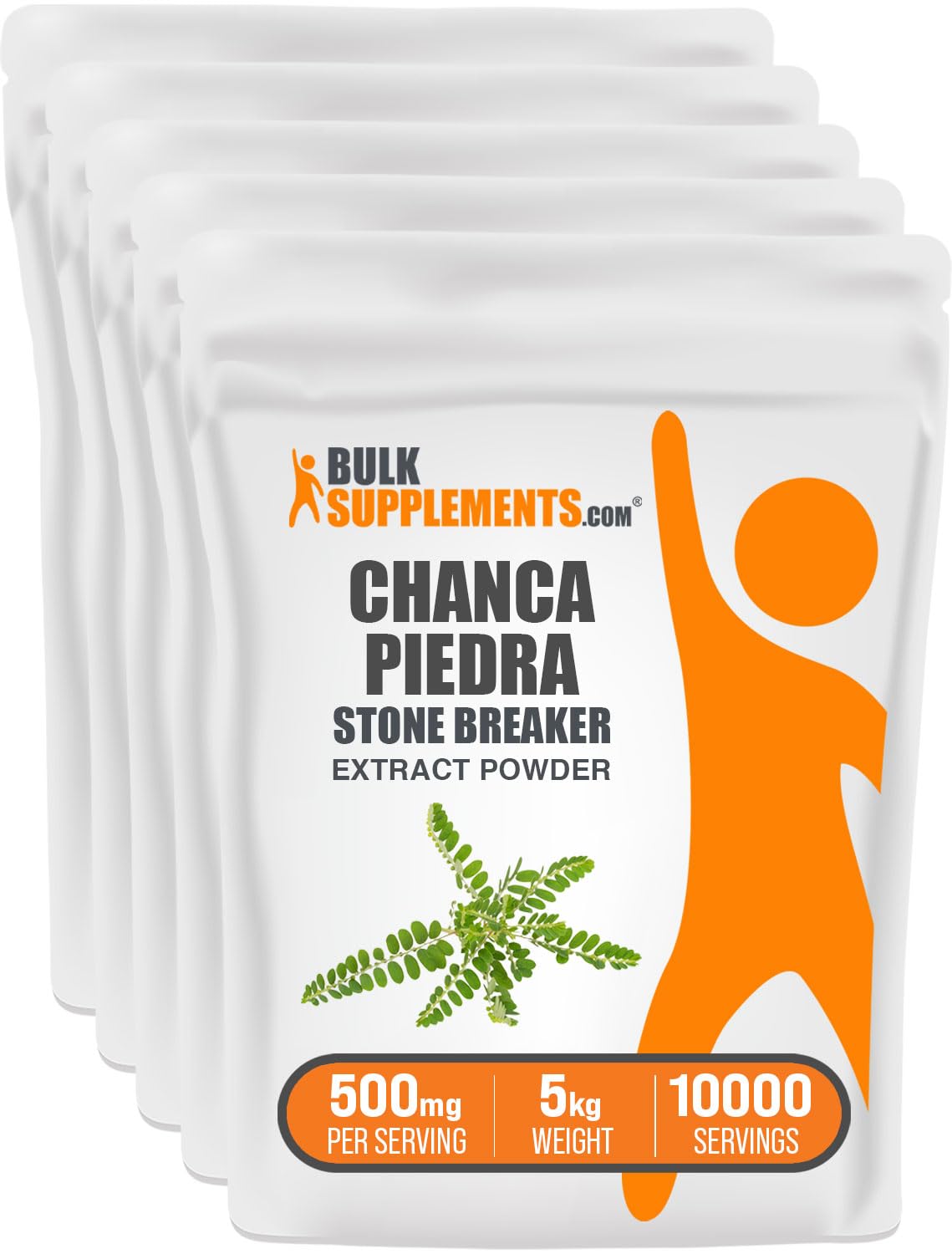 BulkSupplements Chanca Piedra Extract Powder 500 mg per Serving, 176.37 oz total