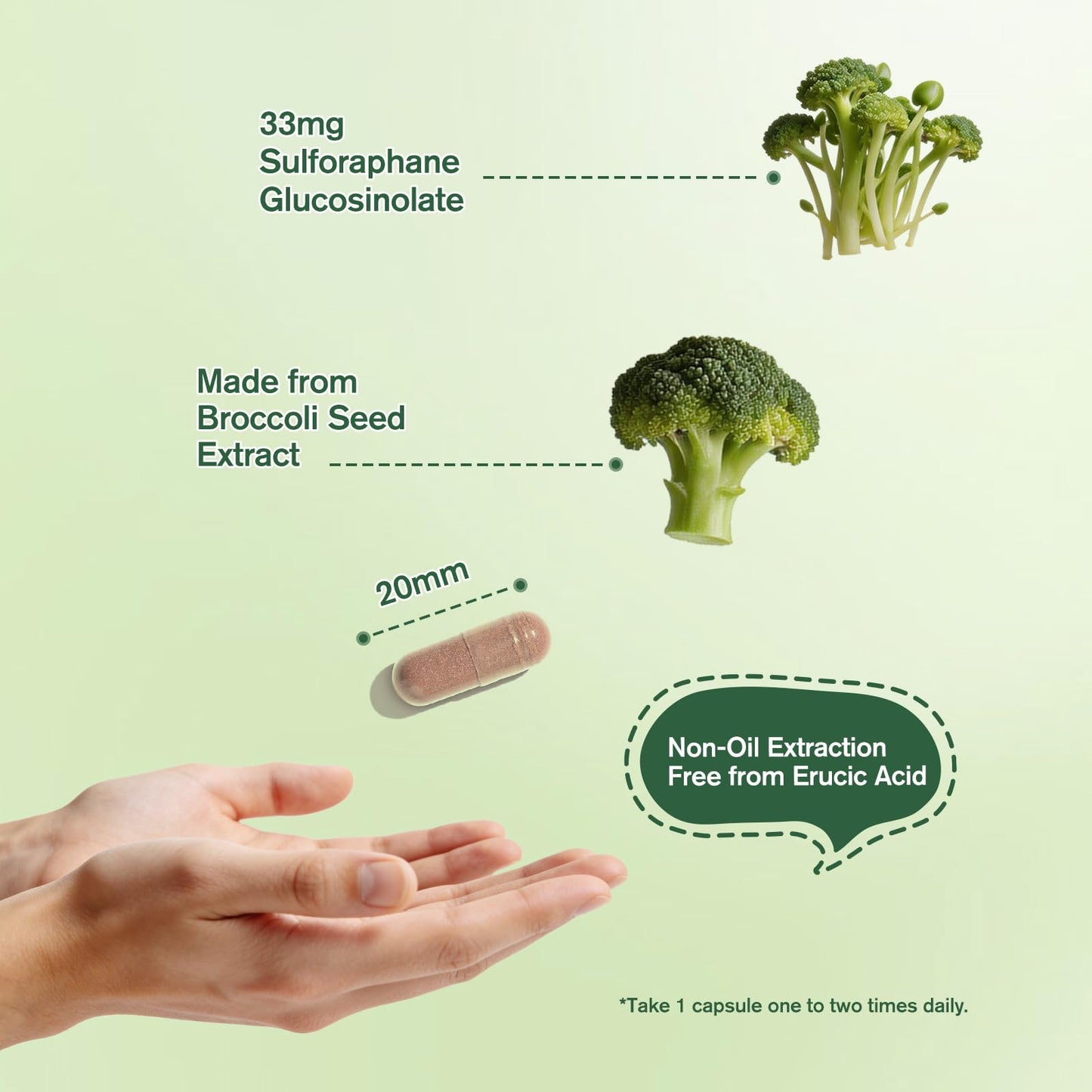 LTTLAODIZ Sulforaphane Supplement from Broccoli, 120 Capsules