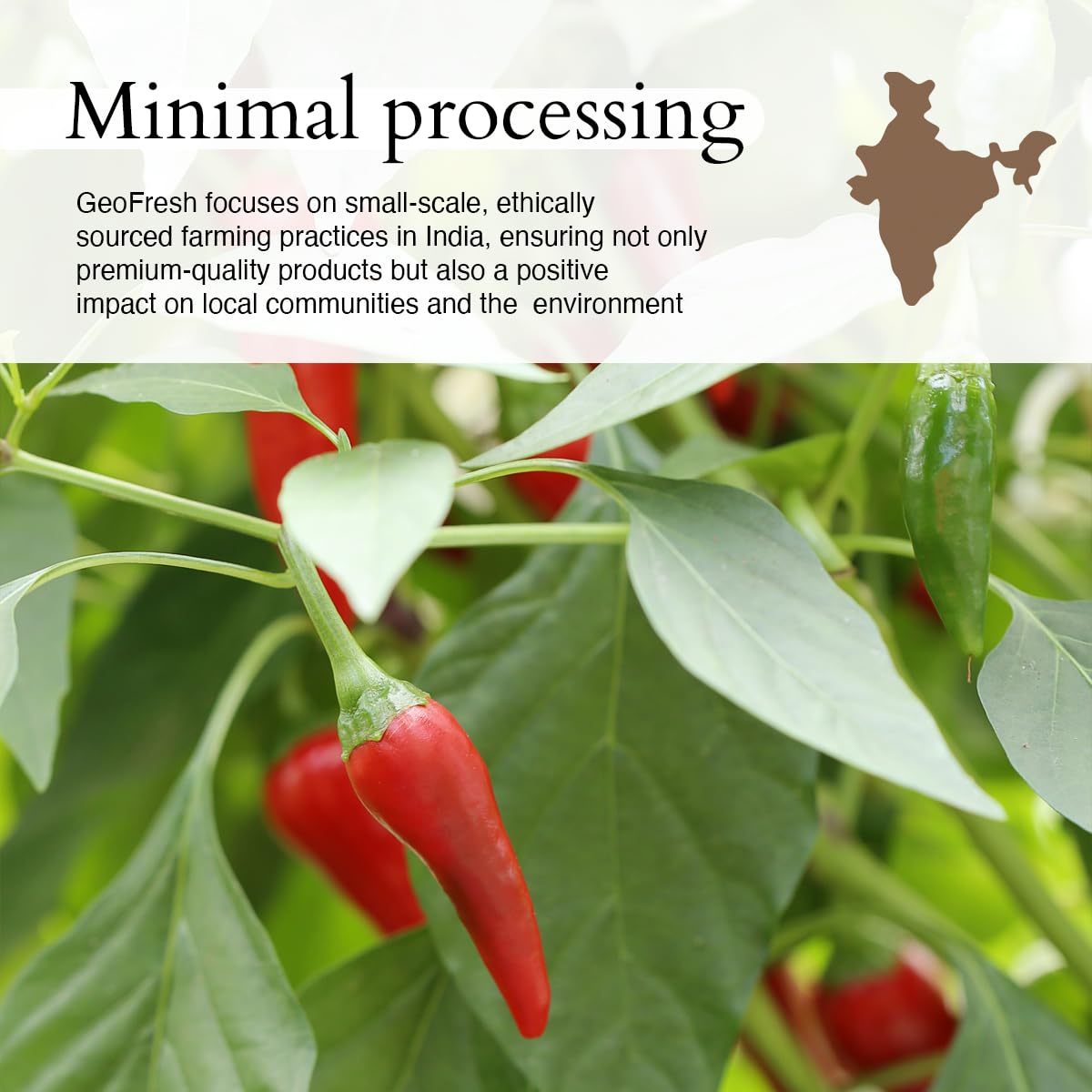 Geo-Fresh Organic Cayenne Pepper Powder 1.76 oz