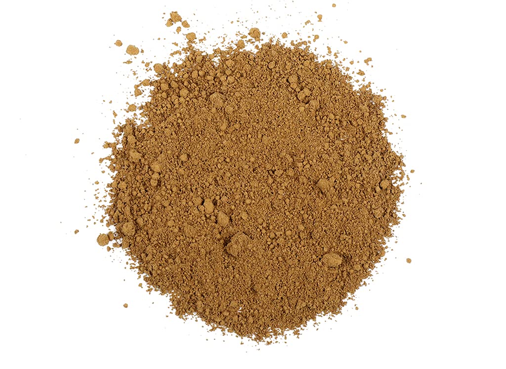 Healthy Supplements Reishi Mushroom Powder Organic 1oz