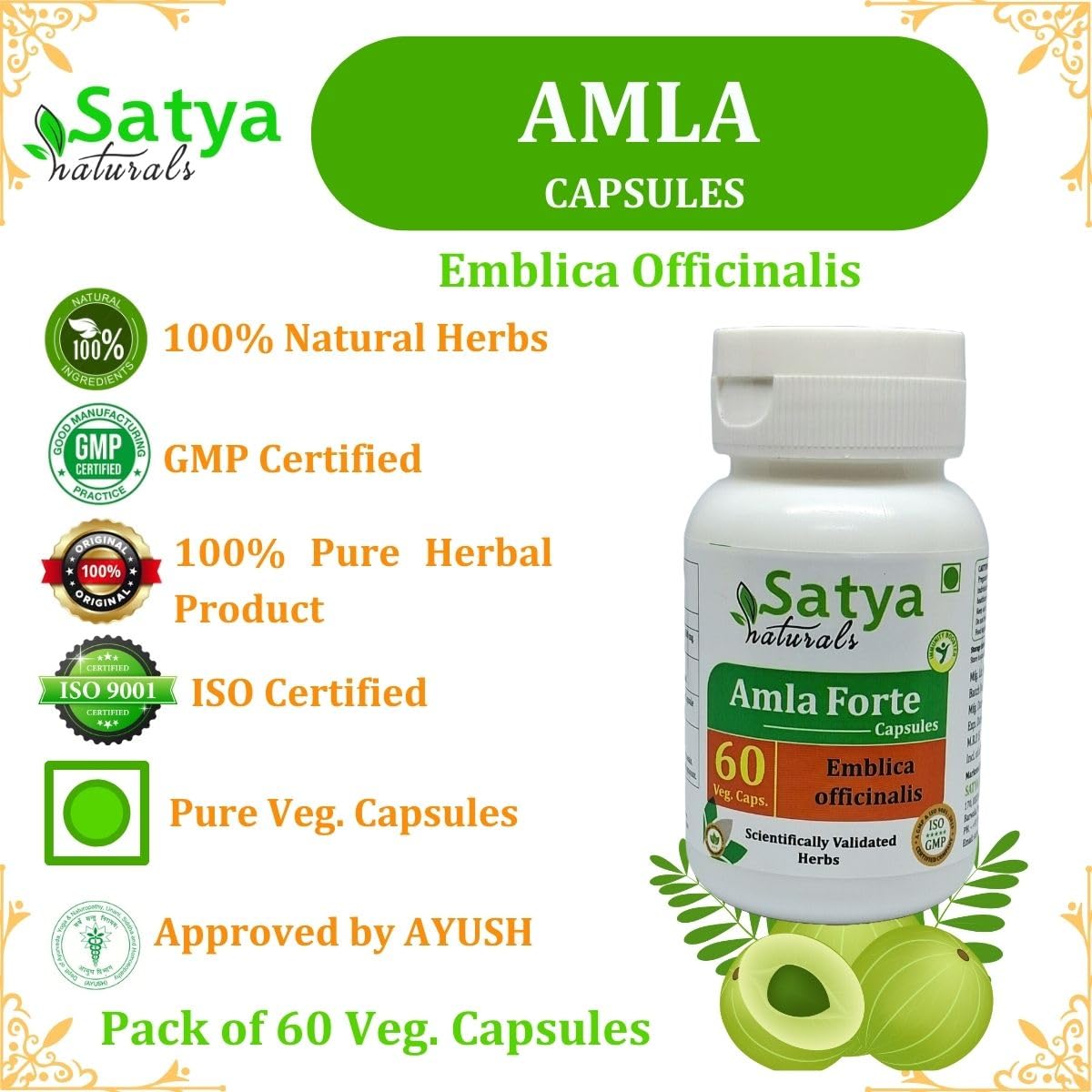 Satya Naturals Amla Forte Capsules 500 mg, 240 Capsules