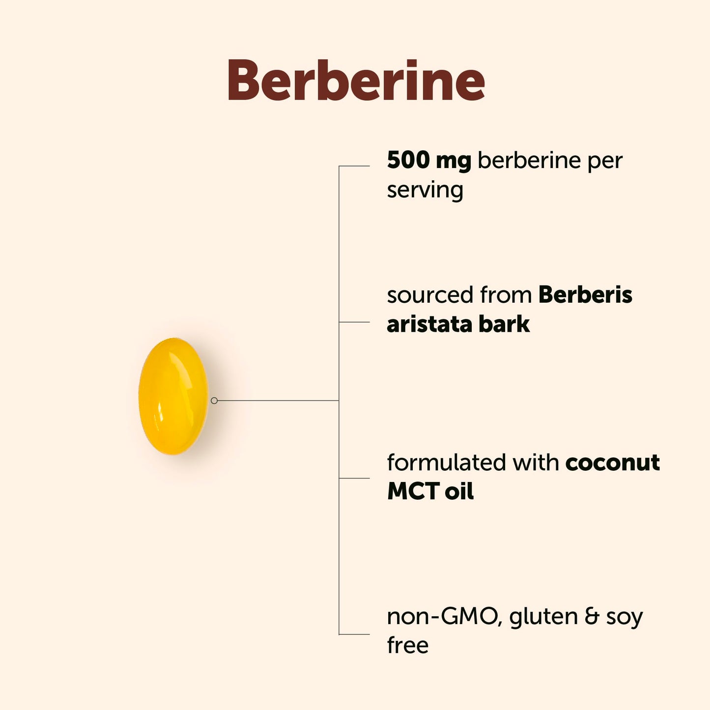 Micro Ingredients Berberine 500 mg Per Serving Softgels 240 Count