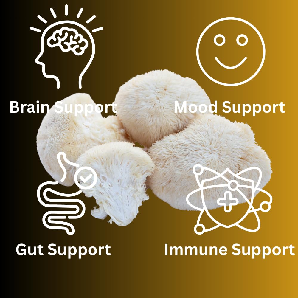 Mag Mushrooms Lion’s Mane Gummies, 60 Gummies