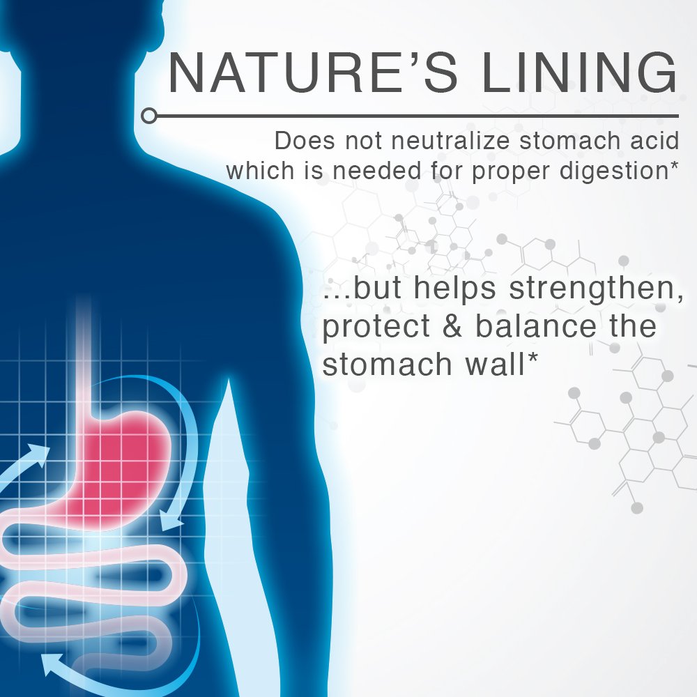 Lane Labs Nature's Lining Capsules 60 Count