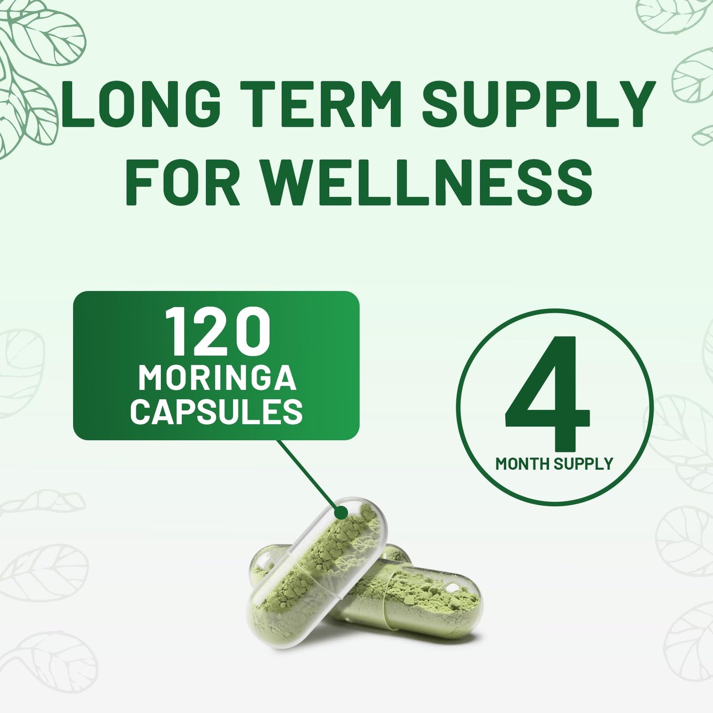 vivcmin Moringa Capsules 120 Count