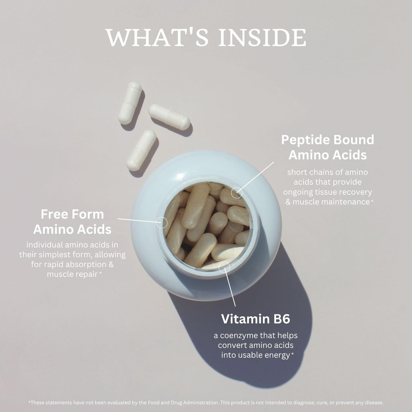 VTC VitaTradingCo. Amino Complex Protein Blend Capsules 120