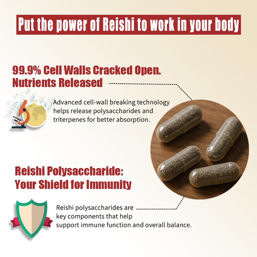 NOTO Master Reishi Mushroom Lingzhi Supplement Spore Capsule, 1 Capsule
