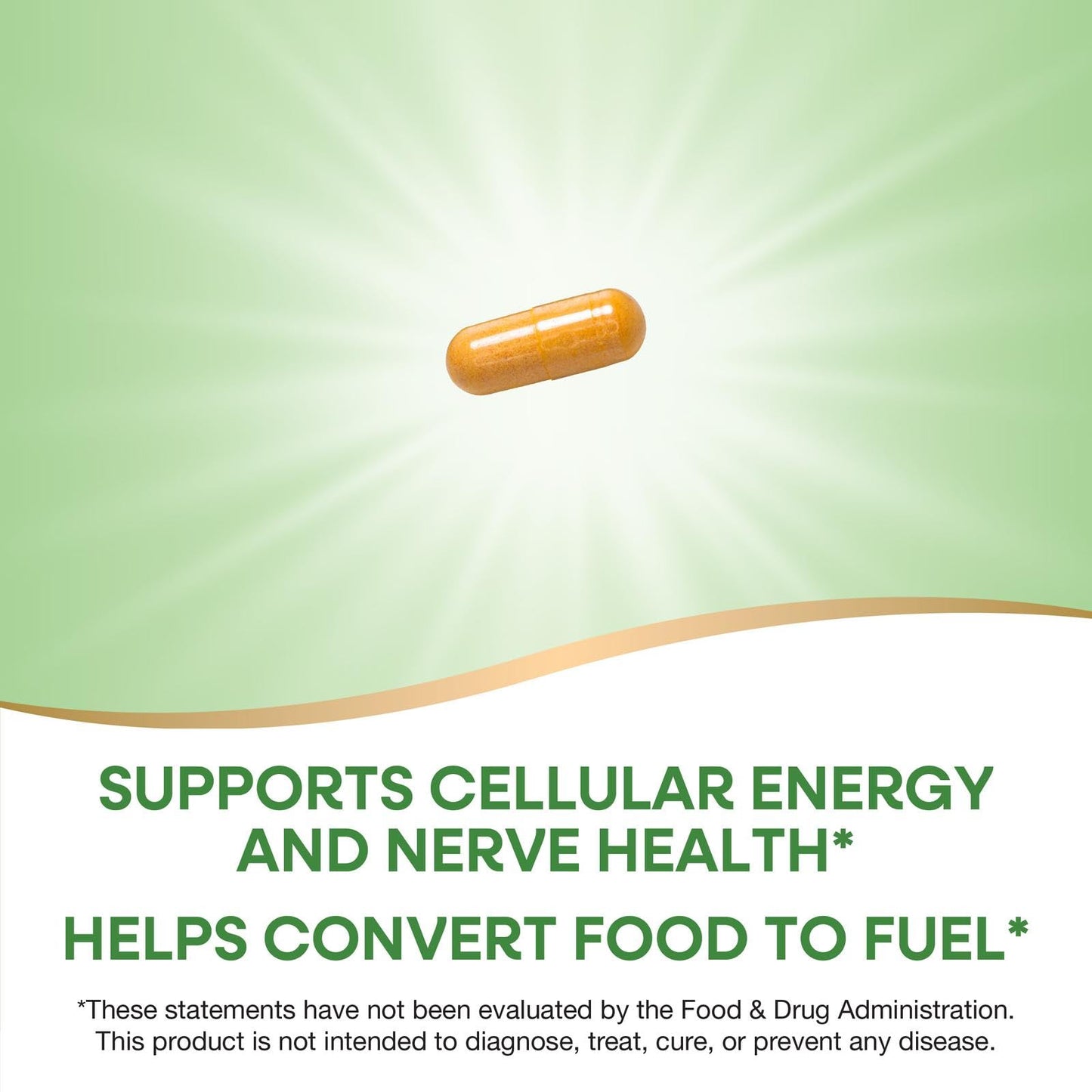 Nature's Way B-100 Complex Capsules 60
